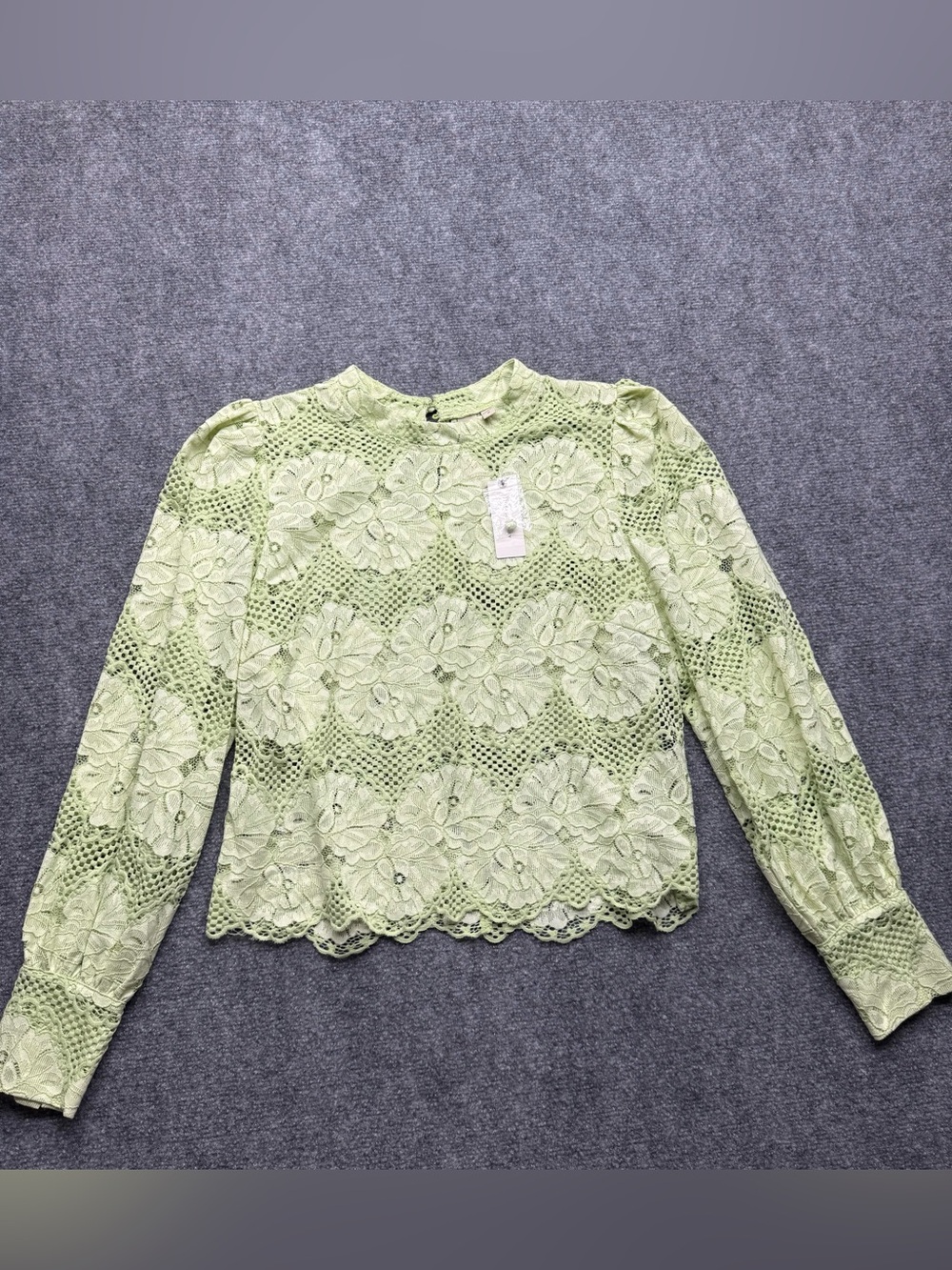Anthropologie Dolan Woman’s Medium Nwt Lace Floral Long-Sleeve Top Light Green